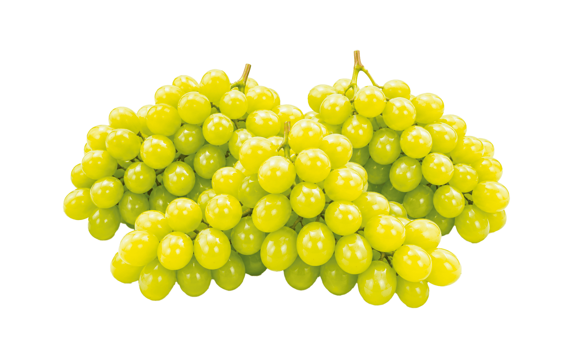 Falcon Grape